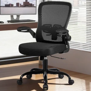 Ergonomic Office Chair, Home Office Desk Chair, Comfort Mesh Task Chair